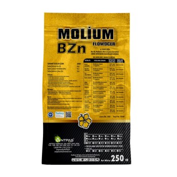 molium kopya5